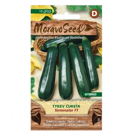 Osivo zeleniny - Tykev cuketa zelená TERMINATOR F1 (MS)
