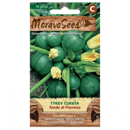 Osivo zeleniny - Tykev cuketa zelená TONDO DI PIACENZA (MS)