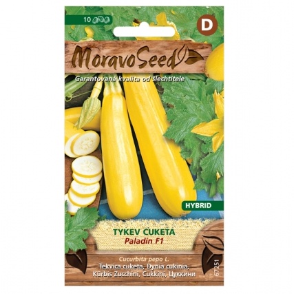 Osivo zeleniny - Tykev cuketa žlutá PALADIN F1 (MS)