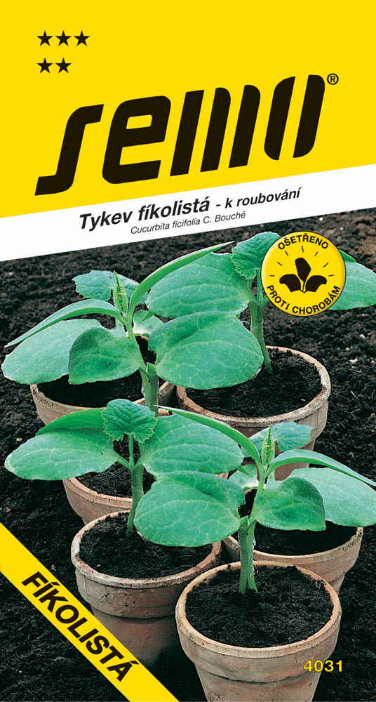 Osivo zeleniny - Tykev fíkolistá k roubování