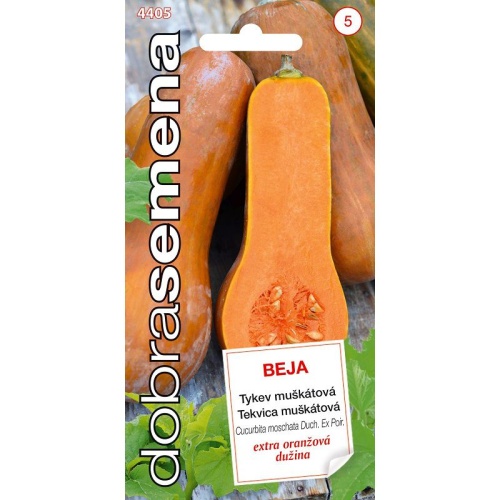 Osivo zeleniny - Tykev muškátová Beja (DS)