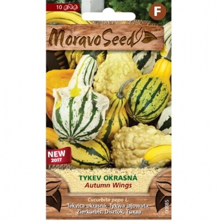 Osivo letniček - Tykev okrasná AUTUMN WINGS (MS)