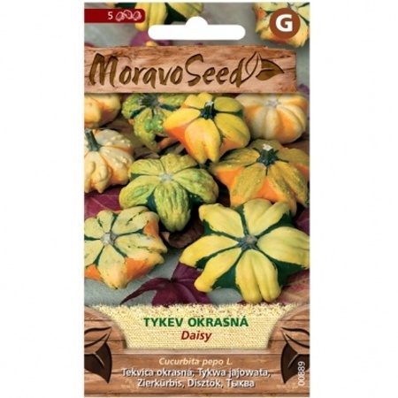 Osivo letniček - Tykev okrasná DAISY (MS)