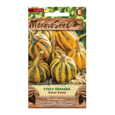 Osivo zeleniny - Tykev okrasná KAMO KAMO (MS)