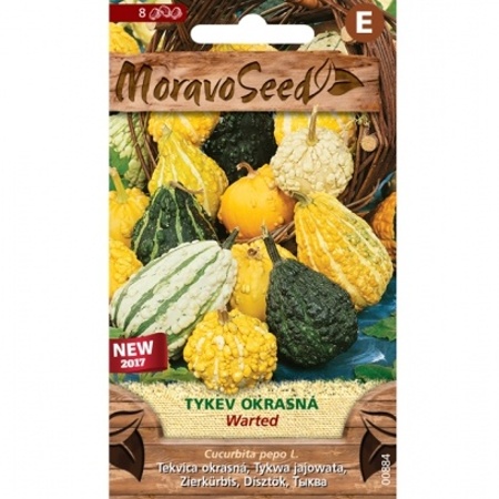 Osivo letniček - Tykev okrasná WARTED (MS)