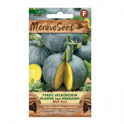 Osivo zeleniny - Tykev plazivá BLUE KURI typ Hokkaido (MS)