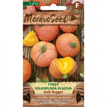 Osivo zeleniny - Tykev plazivá GOLD NUGGET (MS)