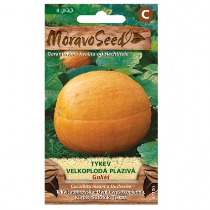 Osivo zeleniny - Tykev plazivá GOLIÁŠ (MS)