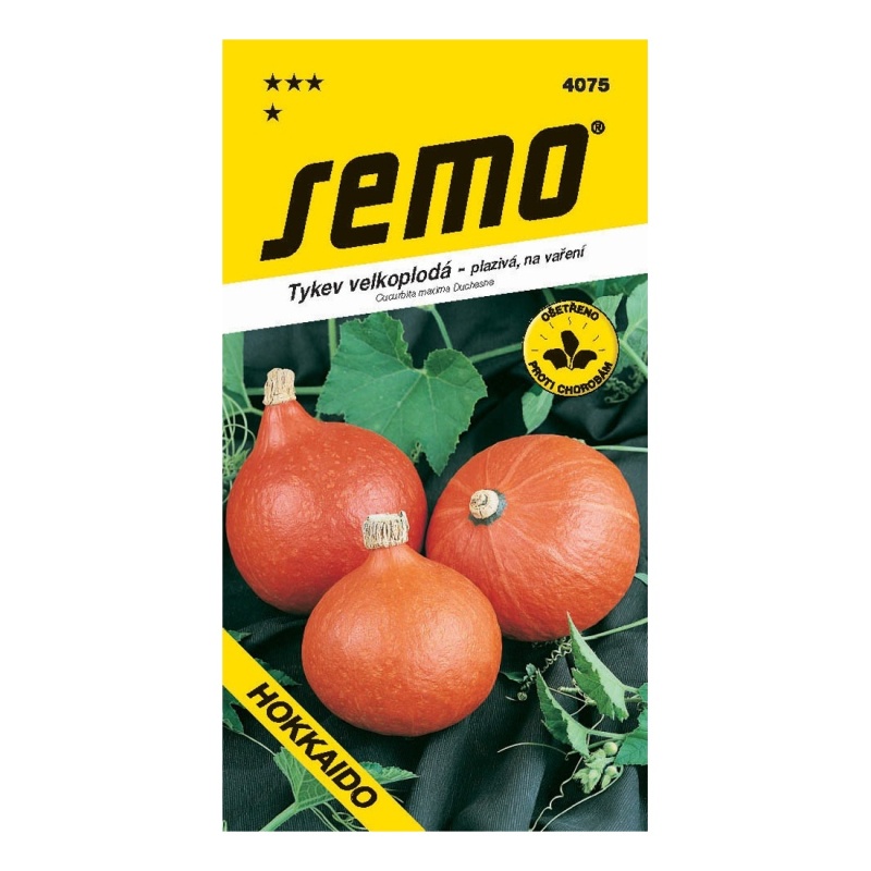 Osivo zeleniny - Tykev plazivá Hokkaido orange
