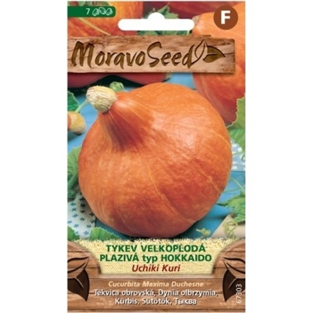 Osivo zeleniny - Tykev plazivá UCHIKI KURI typ Hokkaido (MS)