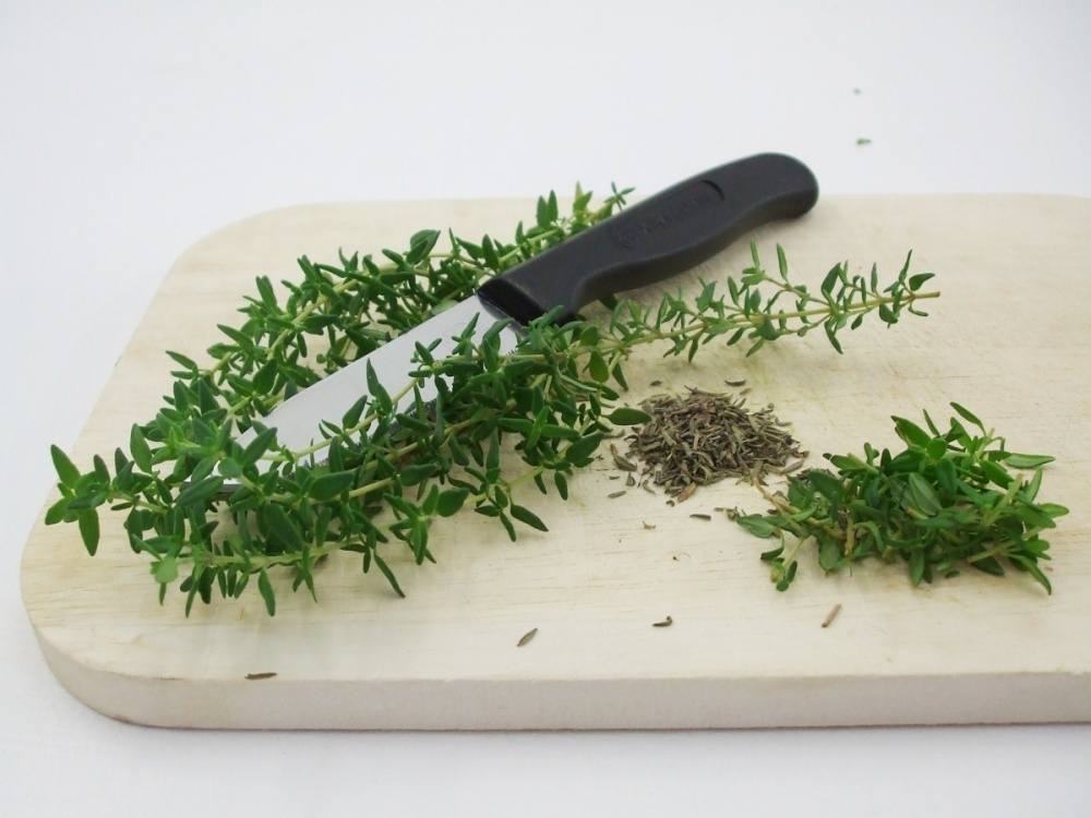 Tymián BIO květináč 12cm-1
