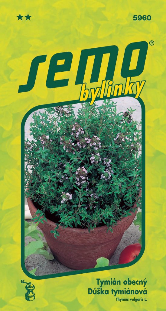 Osivo bylinek - Tymián obecný