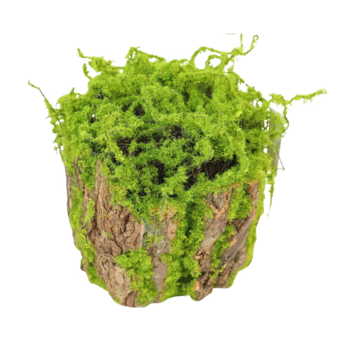 podklady a kulatiny - Válec pro aranžování z mechu a kůry 19cm