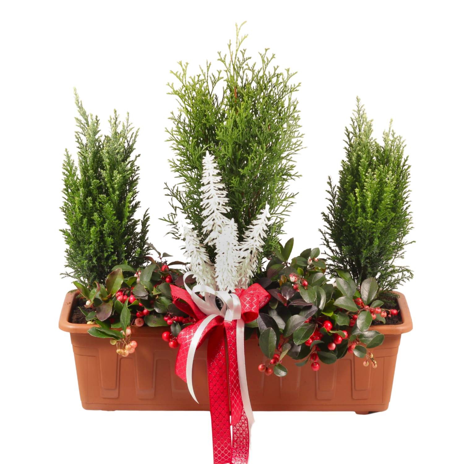 Vánoční truhlík s rostlinami 50cm-0