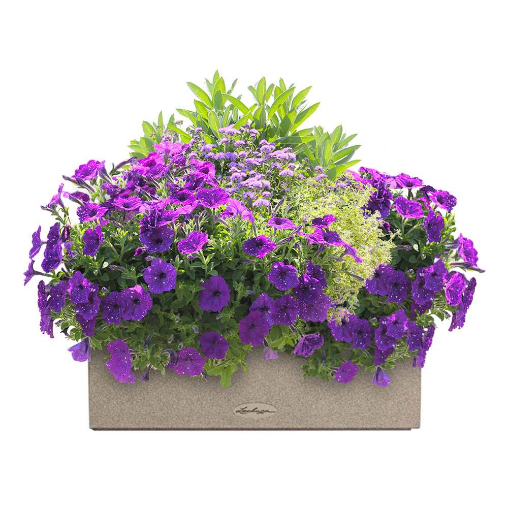 Květinové truhlíky - Večerní nebe Lechuza Stone