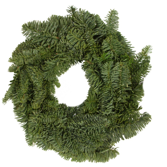 Věnec chvojový jedle vznešená 25cm