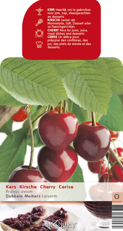 Ovocné stromky do zahrady - Višeň 'Doubele Meikers' květináč 6 litrů, výška 150/175cm, stromek, SAMOSPRAŠNÁ