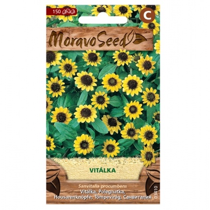 Osivo letniček - Vitálka sanvialia žlutá (MS)