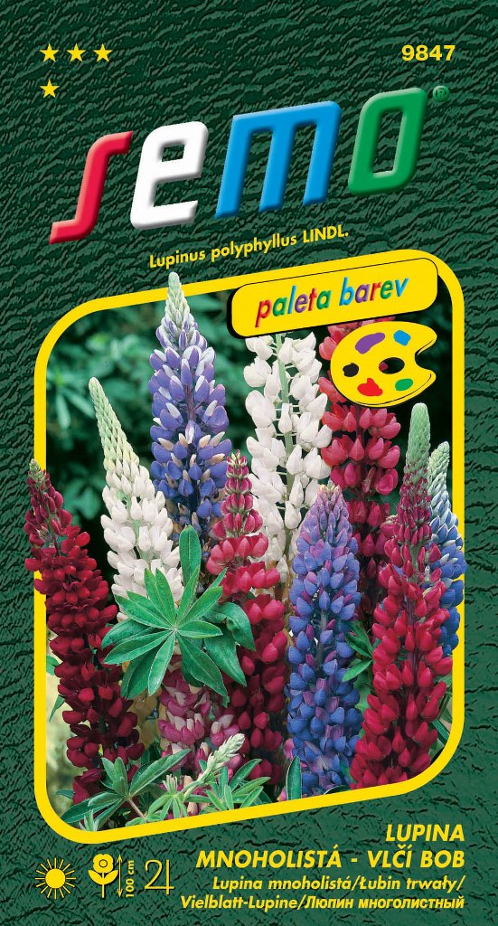 Osivo trvalek - Vlčí bob Lupina směs PALETA