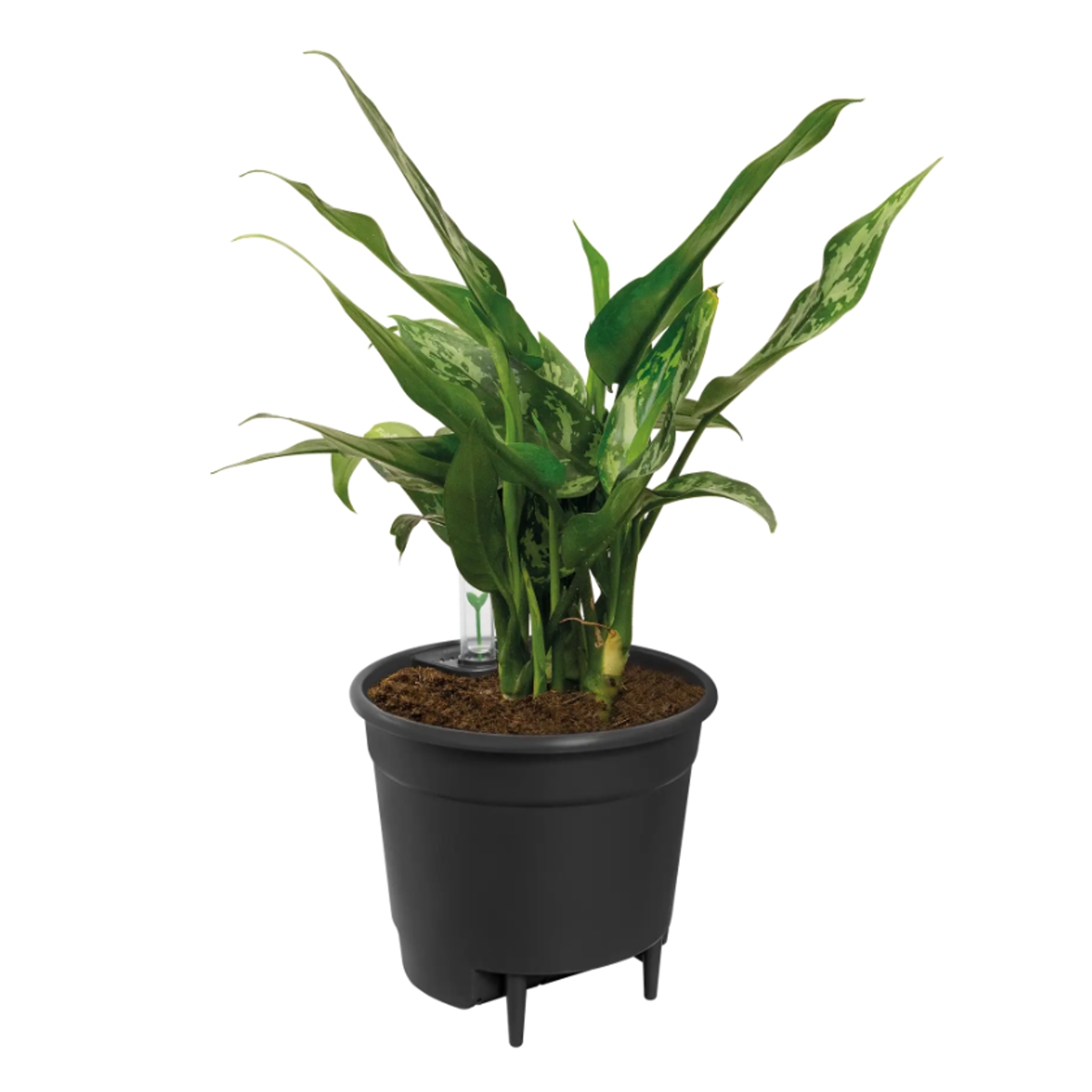 Vložka do květináče ELHO Self-Watering Insert 13cm-0