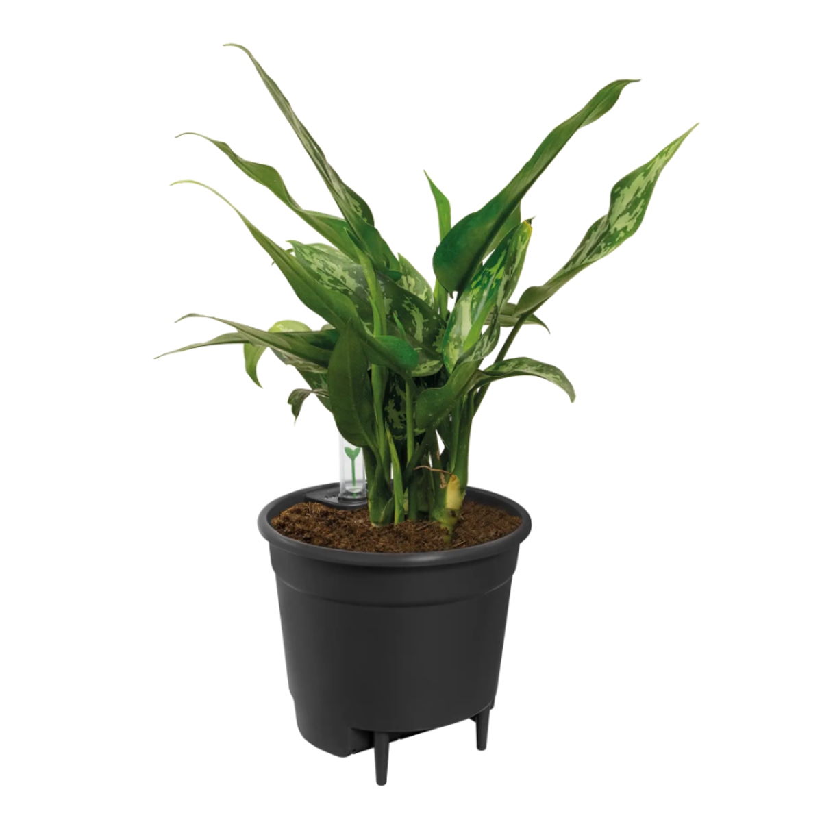 Vložka do květináče ELHO Self-Watering Insert 15cm-0