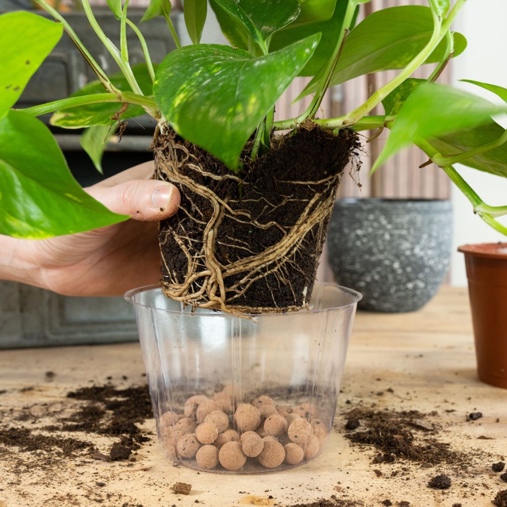 Vložka do květináče LUCAS plastová čirá 12cm-0