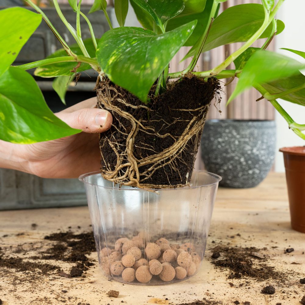 Vložka do květináče LUCAS plastová čirá 13cm-0