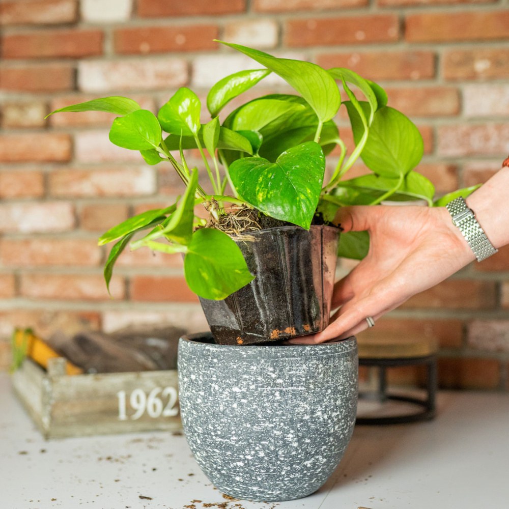 Vložka do květináče LUCAS plastová čirá 13cm-1