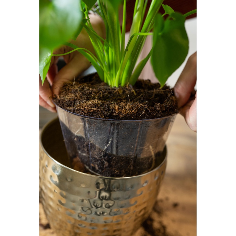 Vložka do květináče LUCAS plastová čirá 15cm-1