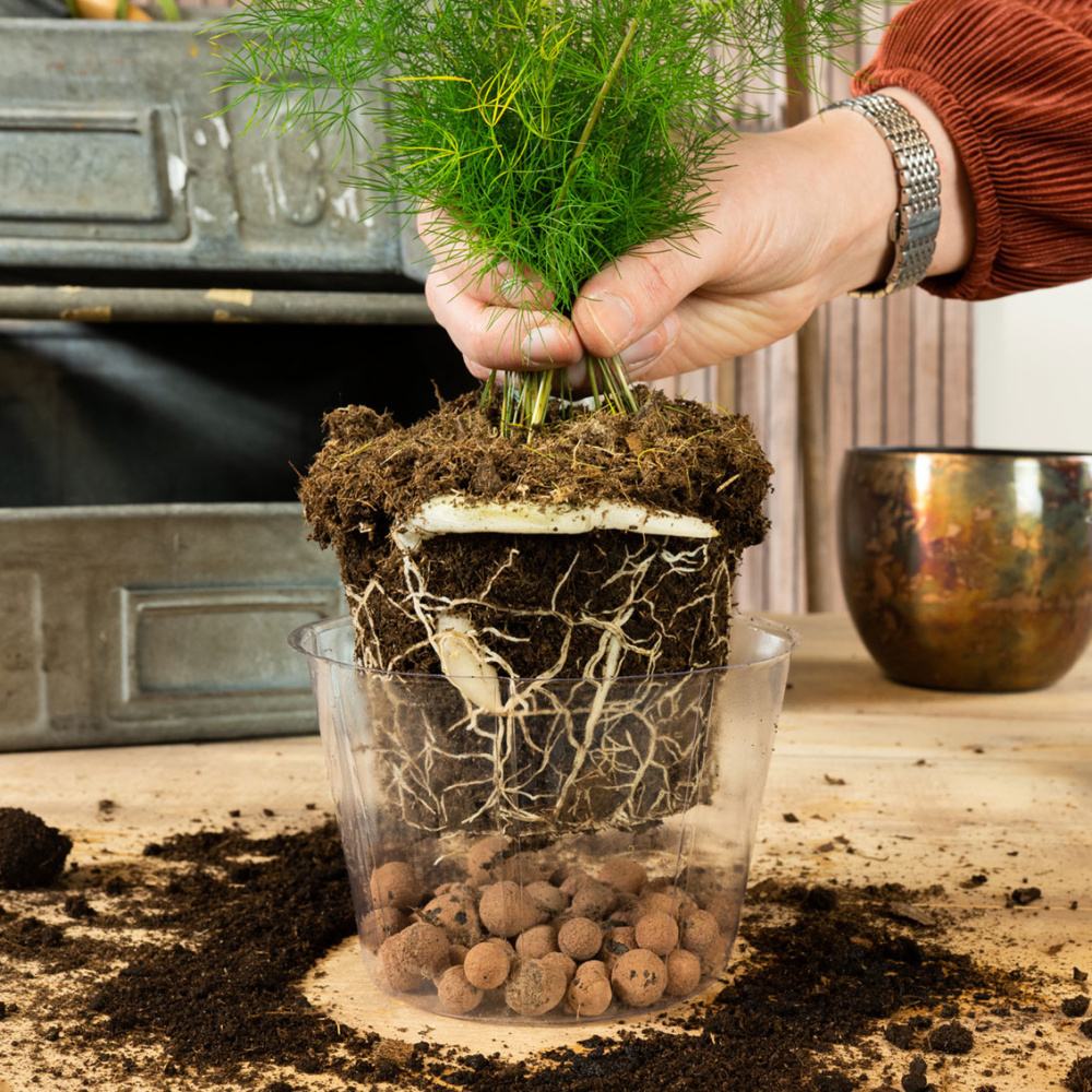 Vložka do květináče LUCAS plastová čirá 17cm-0