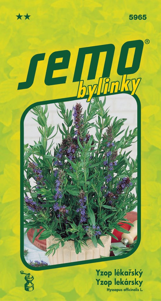 Osivo bylinek - Yzop lékařský