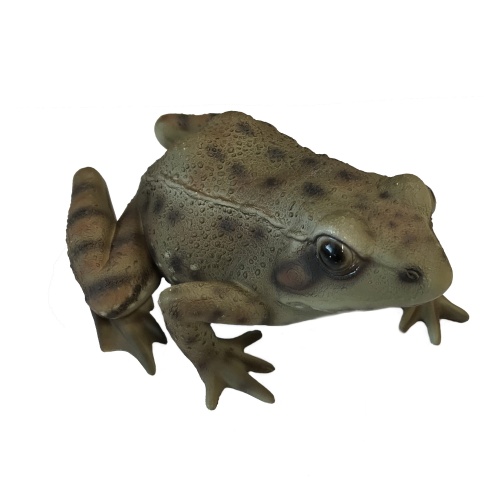 Dekorační figurky zvířat - Žába skokan hnědý polyresinový 15cm