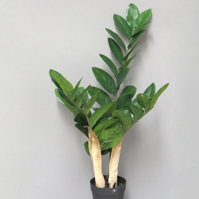 Umělé květiny v obalu - Zamioculcas hrnkový umělý 60cm