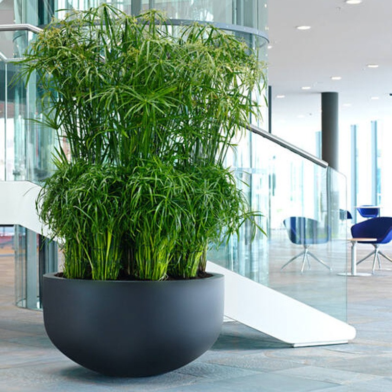 Žardina kulatá CITY BOWL S fiberstone černá 50x92cm-0