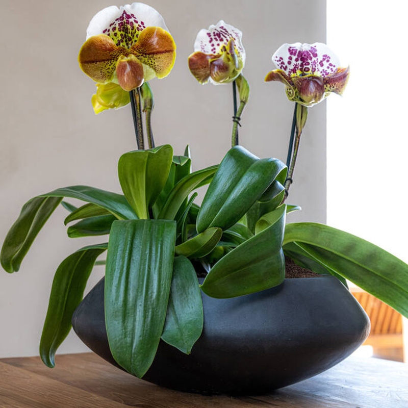 Žardina kulatá TARA S fiberstone černá 40cm-0