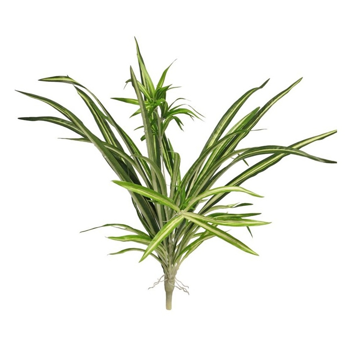 Celoroční umělé květiny - Zelenec BONNIE v trsu umělý 50cm