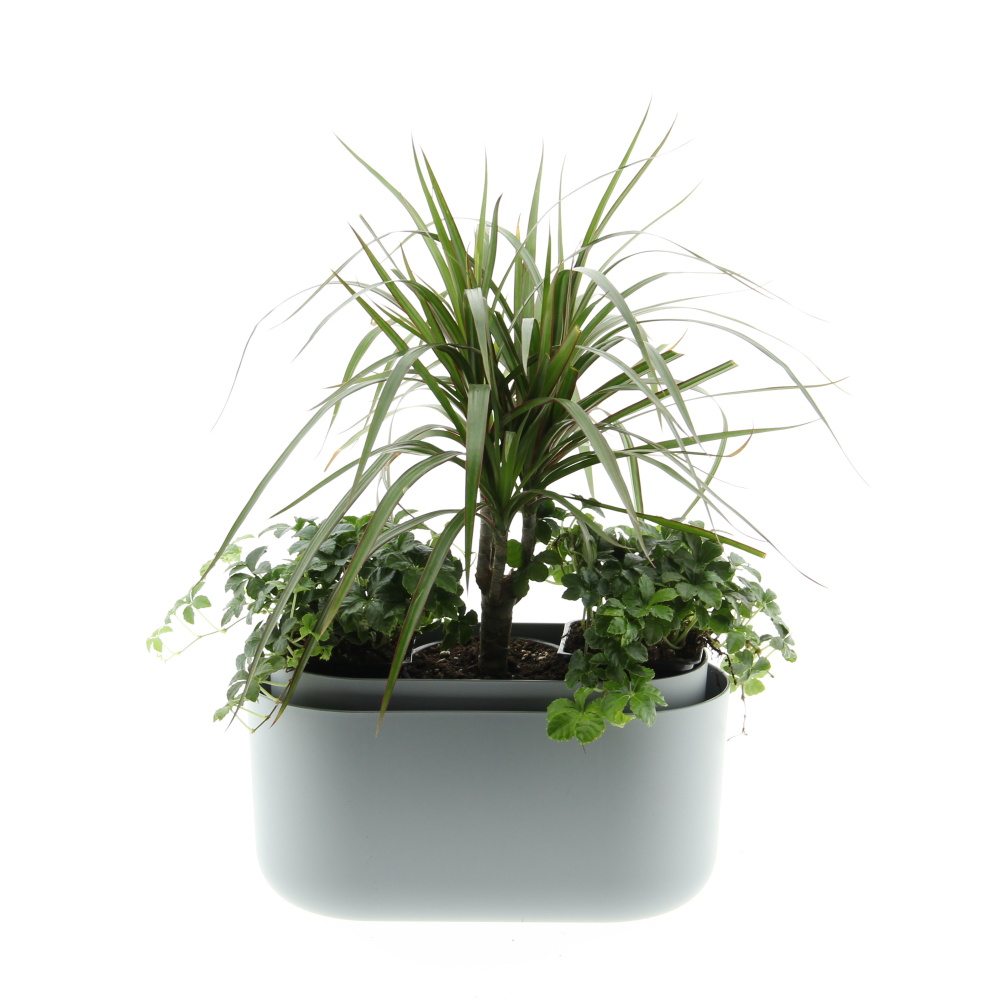 Zelený vodopád truhlík Tolita 31cm-2