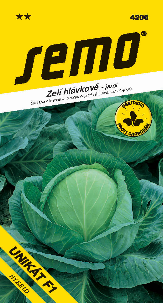 Osivo zeleniny - Zelí jarní Unikát F1