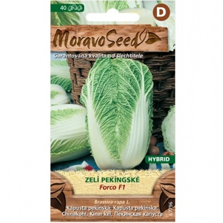 Osivo zeleniny - Zelí pekingské FORCO F1 (MS)