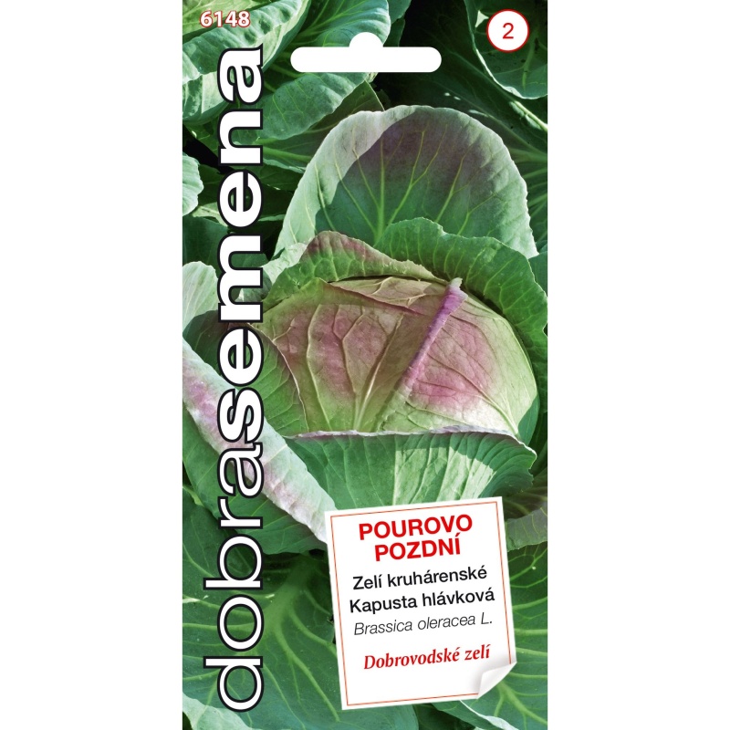 Osivo zeleniny - Zelí POUROVO POZDNÍ F1 (DS)