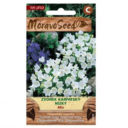 Osivo trvalek - Zvonek karpatský (MS)